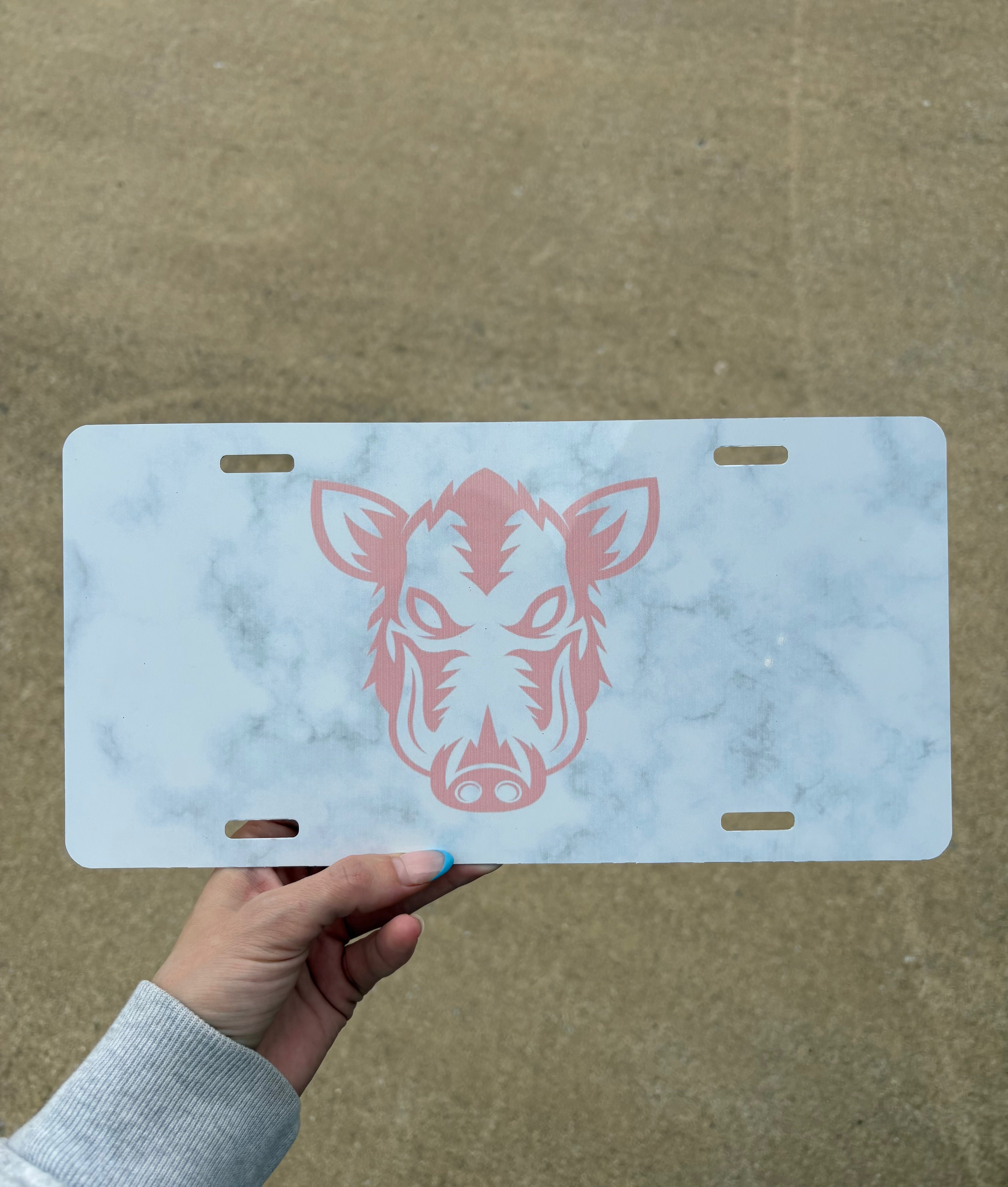 License Plates